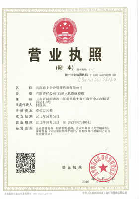 云南戀上企業(yè)管理咨詢(xún) 助力企業(yè)攀登新高峰